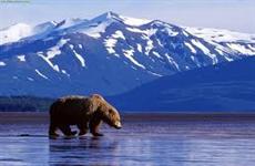 101 Tour du lịch 11 ngày trải nghiệm Alaska Hoa Kỳ
