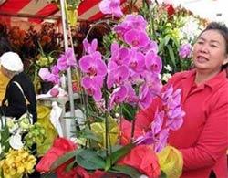 Tìm hiểu cuộc sống của những người Việt nơi đất Hoa Kỳ 634566038083939121 Tìm hiểu cuộc sống của những người Việt nơi đất Hoa Kỳ