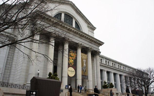  Đến thăm viện bảo tàng Lịch sử Tự nhiên (National Mall) ở DC