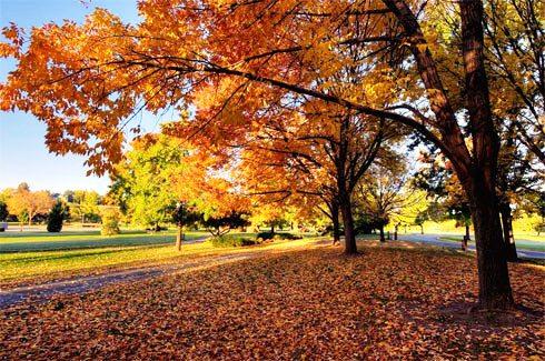 Tận hưởng mùa thu lãng mạn ở Boise, Idaho 634823284601430000 Tận hưởng mùa thu lãng mạn ở Boise, Idaho