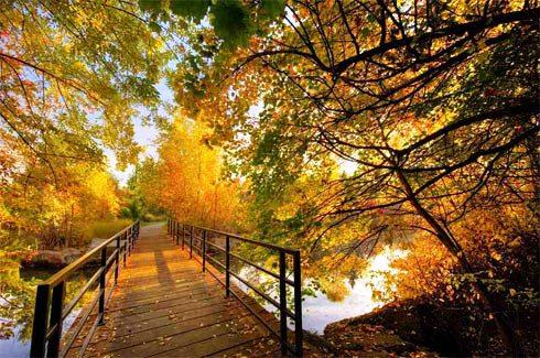 Tận hưởng mùa thu lãng mạn ở Boise, Idaho 634823284607720000 Tận hưởng mùa thu lãng mạn ở Boise, Idaho