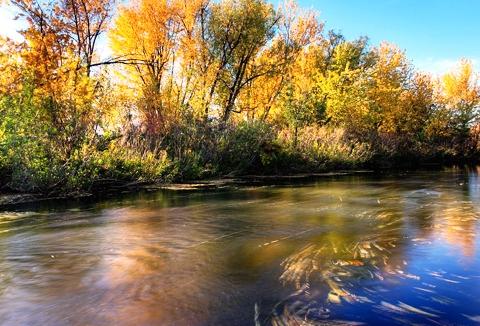 634823284704660000 Tận hưởng mùa thu lãng mạn ở Boise, Idaho