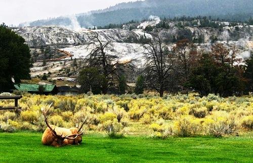 634824087387890000 Đến thăm vườn quốc gia Yellowstone, Bắc Hoa Kỳ