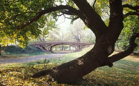 Đến thành phố New York nên chụp ảnh ở đâu ấn tượng nhất? 634825842838150000 Đến thành phố New York nên chụp ảnh ở đâu ấn tượng nhất?