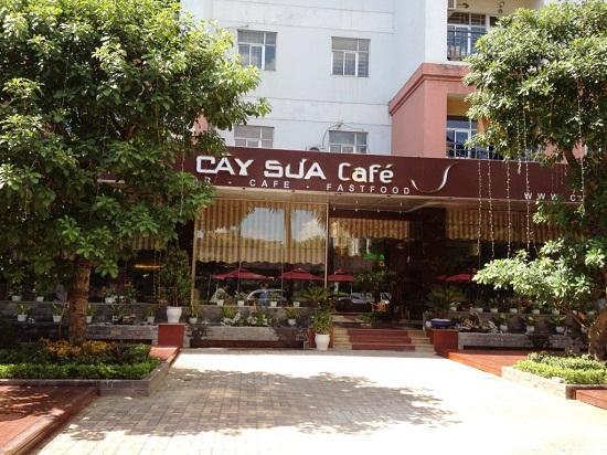  Đến thăm Cây Sưa Cafe (Bar   Cafe   Fastfood)