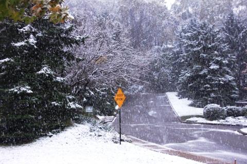 634831472917560000 Tận hưởng mùa Đông tuyết sớm ở Pittsburgh, Pennsylvania