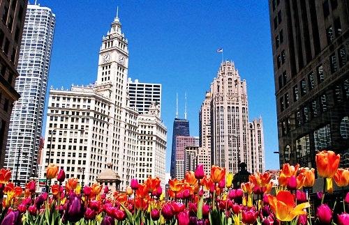 Đến thăm thành phố Chicago Thành phố của gió 634840016209510000 Đến thăm thành phố Chicago Thành phố của gió