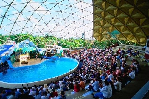 634866425005380000 Đến thăm thủy cung Miami Seaquarium, Florida