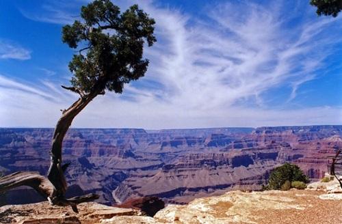 634887334923140000 Ngỡ ngàng trước sắc màu Grand Canyon