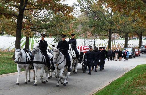 634888927515250000 Chuyện về những chú ngựa tại Arlington   Nghĩa trang Quốc gia Hoa Kỳ
