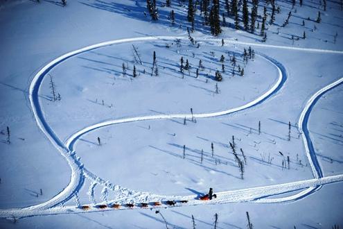 634898459994290000 Trải nghiệm giải đua chó kéo xe trượt tuyết Iditarod Trail Sled Dog Race
