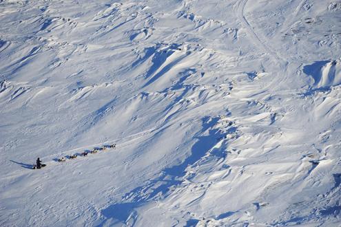 634898460018960000 Trải nghiệm giải đua chó kéo xe trượt tuyết Iditarod Trail Sled Dog Race