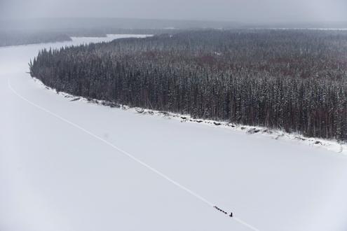 634898460032990000 Trải nghiệm giải đua chó kéo xe trượt tuyết Iditarod Trail Sled Dog Race