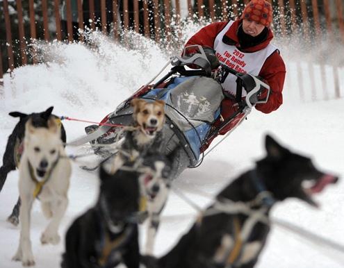 634898623347690000 Nhìn lại những khoảng khắc tuyệt vời ở cuộc đua chó Iditarod