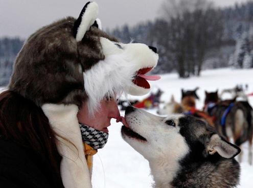 634898623367510000 Nhìn lại những khoảng khắc tuyệt vời ở cuộc đua chó Iditarod