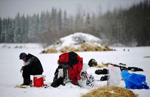 634898623377000000 Nhìn lại những khoảng khắc tuyệt vời ở cuộc đua chó Iditarod