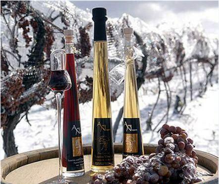 634899836637770000 Thưởng thức Rượu Vang Đá (Ice wine), California