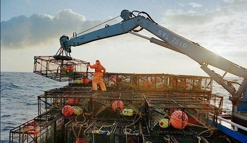 Trải nghiệm nghề bắt cua biển ở Alaska, Hoa Kỳ 634903996511610000 Trải nghiệm nghề bắt cua biển ở Alaska, Hoa Kỳ