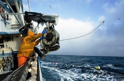 634903996531210000 Trải nghiệm nghề bắt cua biển ở Alaska, Hoa Kỳ