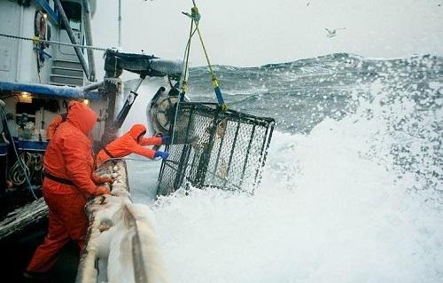 634903996547280000 Trải nghiệm nghề bắt cua biển ở Alaska, Hoa Kỳ