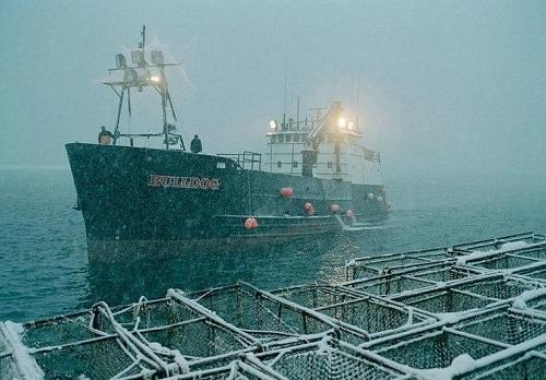 Trải nghiệm nghề bắt cua biển ở Alaska, Hoa Kỳ 634903996564910000 Trải nghiệm nghề bắt cua biển ở Alaska, Hoa Kỳ