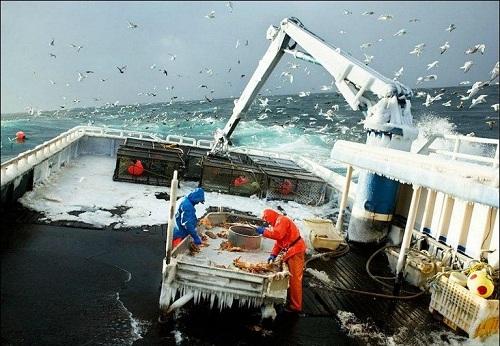 634903996584600000 Trải nghiệm nghề bắt cua biển ở Alaska, Hoa Kỳ