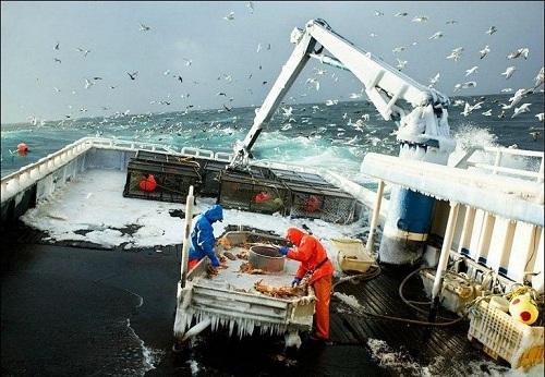 Trải nghiệm nghề bắt cua biển ở Alaska, Hoa Kỳ 634903996584600000 Trải nghiệm nghề bắt cua biển ở Alaska, Hoa Kỳ