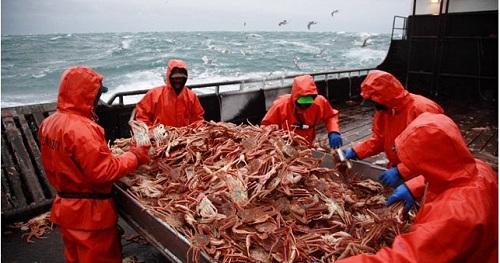 Trải nghiệm nghề bắt cua biển ở Alaska, Hoa Kỳ 634903996614320000 Trải nghiệm nghề bắt cua biển ở Alaska, Hoa Kỳ