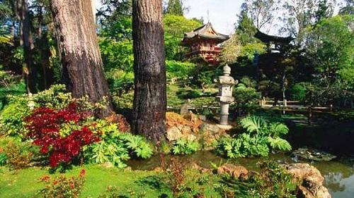 Một góc thơ mộng San Francisco 634904905422580000 Một góc thơ mộng San Francisco