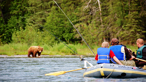 634906456169650000 Trải nghiệm một buổi câu cá hồi ở Alaska