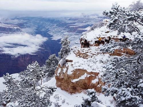 634908049680460000 Grand Canyon   Những một khung ảnh khác