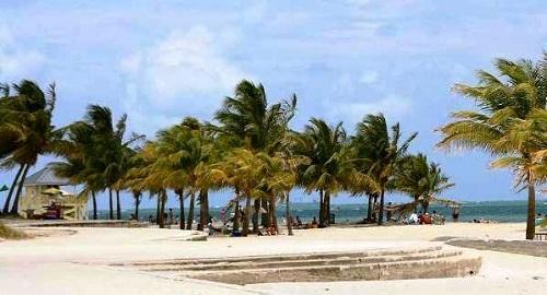 Đến thăm thành phố Miami Nét Latinh phản phất 634913263300040000 Đến thăm thành phố Miami Nét Latinh phản phất
