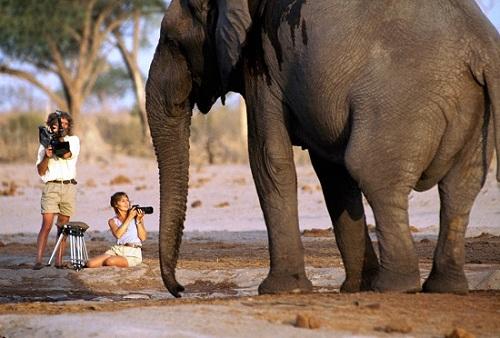 634936772949850000 Sơ lược về 125 năm lịch sử National Geographic