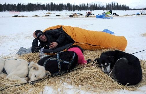634994779114866480 Trải nghiệm giải đua chó   Iditarod Trail Sled Dog Race ở Nome
