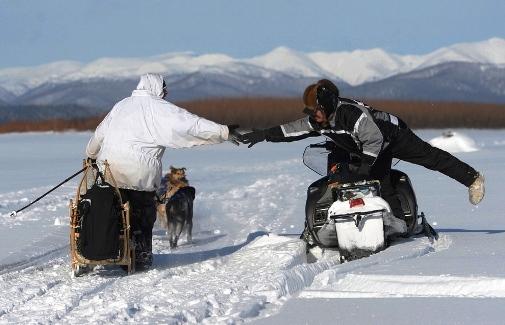 634994779164951165 Trải nghiệm giải đua chó   Iditarod Trail Sled Dog Race ở Nome