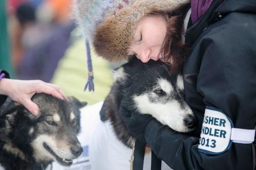 634994779218199710 Trải nghiệm giải đua chó   Iditarod Trail Sled Dog Race ở Nome