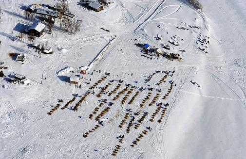 634994779300401480 Trải nghiệm giải đua chó   Iditarod Trail Sled Dog Race ở Nome