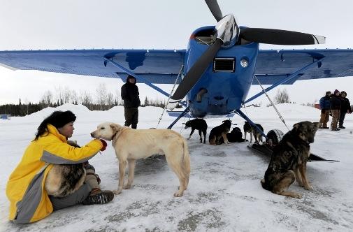 634994779327089225 Trải nghiệm giải đua chó   Iditarod Trail Sled Dog Race ở Nome