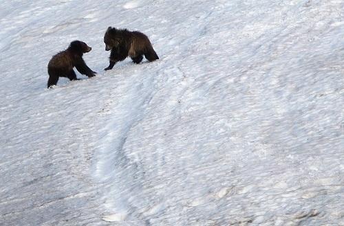 635042846297134195 Đến thăm công viên quốc gia Yellowstone