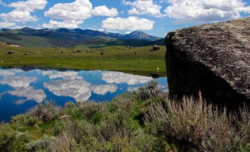 635042846546327230 Đến thăm công viên quốc gia Yellowstone