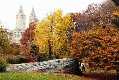 635067823345231645 Trải nghiệm 4 mùa trong Công viên Trung tâm (Central Park) New York