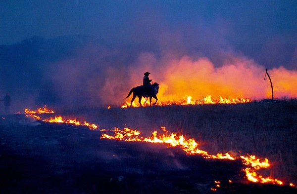 635396911241312070 Những tác phẩm trong cuộc thi ảnh 2014 (lần thứ 26) của National Geographic