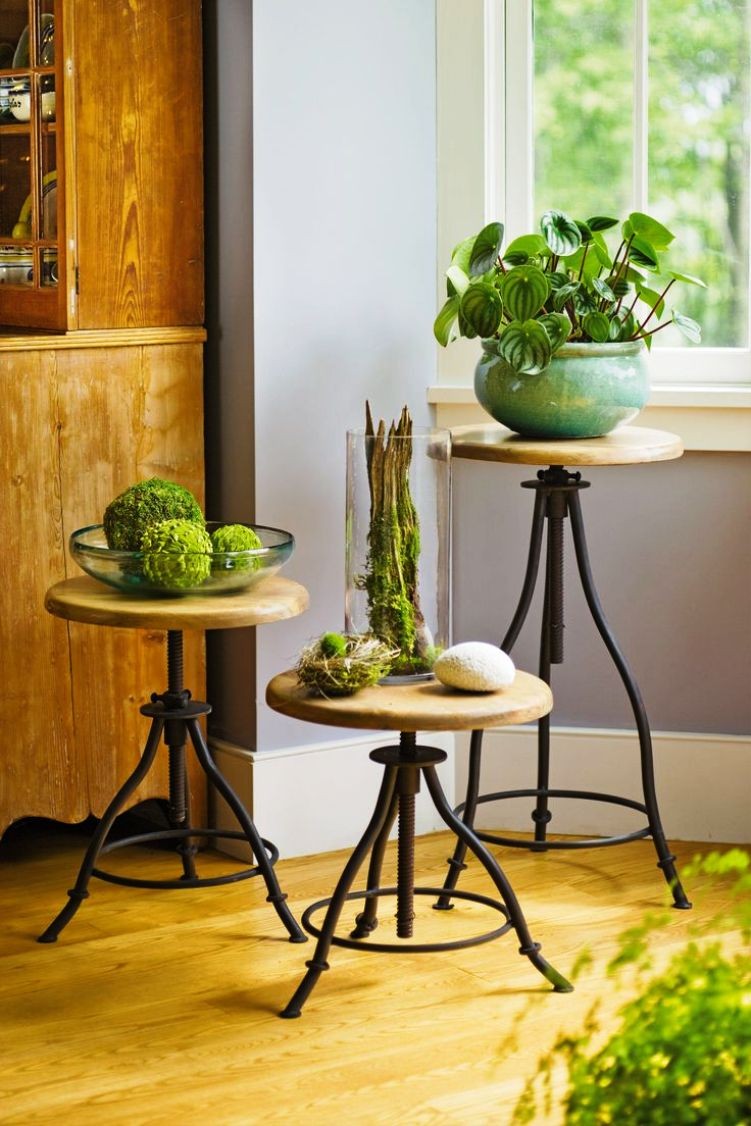 Kệ để cây sẽ khiến bạn yêu luôn từ cái nhìn đầu tiên tran hong 12 mau ke de cay cho khong gian nha ban them xinh 83e54e8f6c Kệ để cây sẽ khiến bạn yêu luôn từ cái nhìn đầu tiên