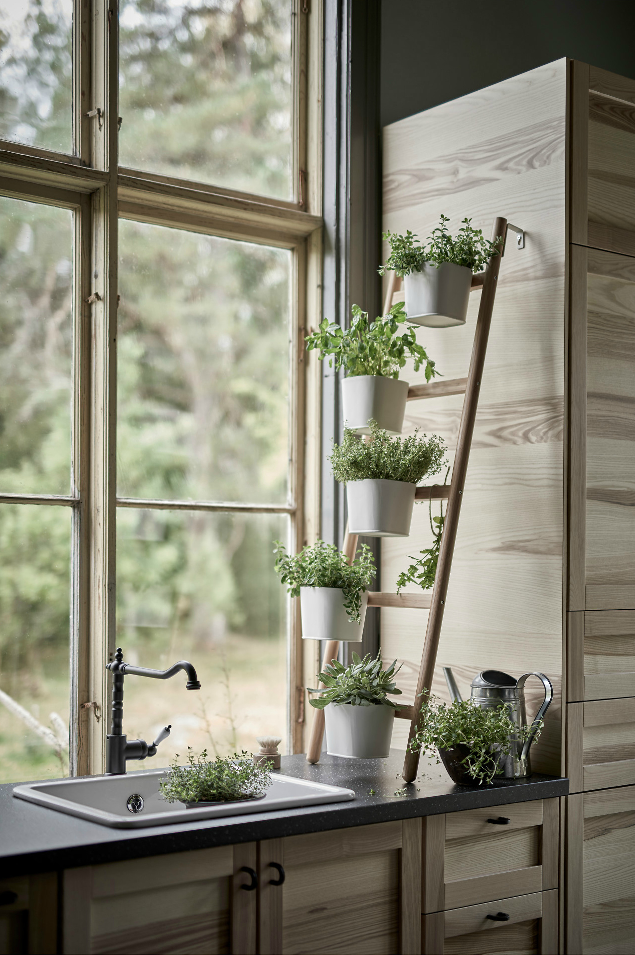 Kệ để cây sẽ khiến bạn yêu luôn từ cái nhìn đầu tiên tran hong 12 mau ke de cay cho khong gian nha ban them xinh 86b79531c3 Kệ để cây sẽ khiến bạn yêu luôn từ cái nhìn đầu tiên