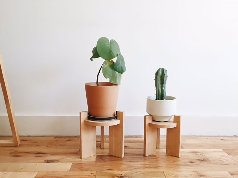 Kệ để cây sẽ khiến bạn yêu luôn từ cái nhìn đầu tiên tran hong 12 mau ke de cay cho khong gian nha ban them xinh a463a43d9d Kệ để cây sẽ khiến bạn yêu luôn từ cái nhìn đầu tiên