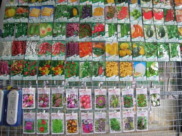 khu vườn 2 khu vuon 2 Mẹo làm vườn vào mùa Xuân dành cho những người yêu thiên nhiên