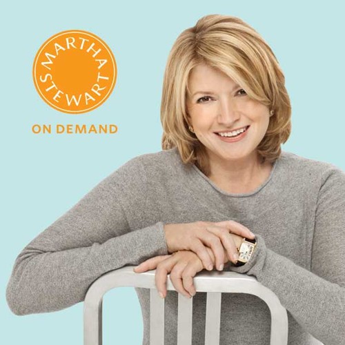 ceo martha stewart Cùng gặp gỡ và tìm hiểu với 6 nữ CEO tài ba nhất thế giới