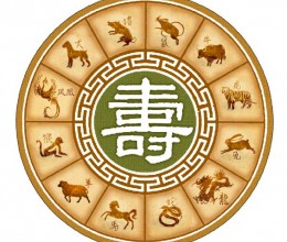 1470918626 xem tuoi hop theo phong thuy thien can dia chi menh cua nam sinh Hướng dẫn xem hợp tuổi nam Giáp Thân 2004 và nữ Mậu Tý 2008