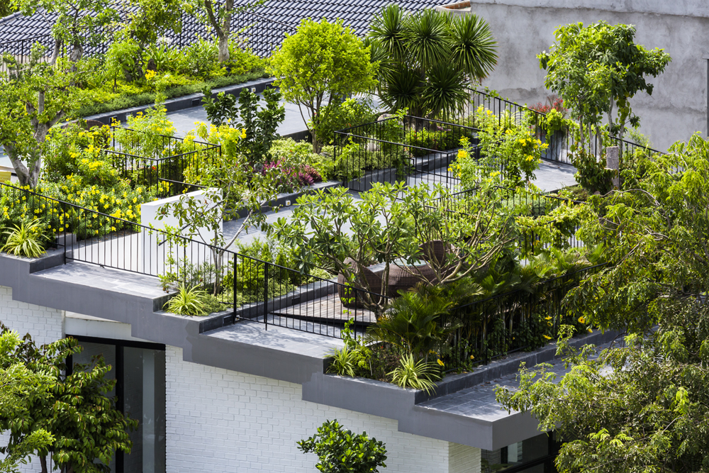 Cùng nhìn qua ngôi nhà có vườn trên mái rộng gần 500m² giữa lòng phố biển Nha Trang hoans hanging garden ngoi nha mai xanh giua long pho bien nha trang 06d384c748 Cùng nhìn qua ngôi nhà có vườn trên mái rộng gần 500m² giữa lòng phố biển Nha Trang
