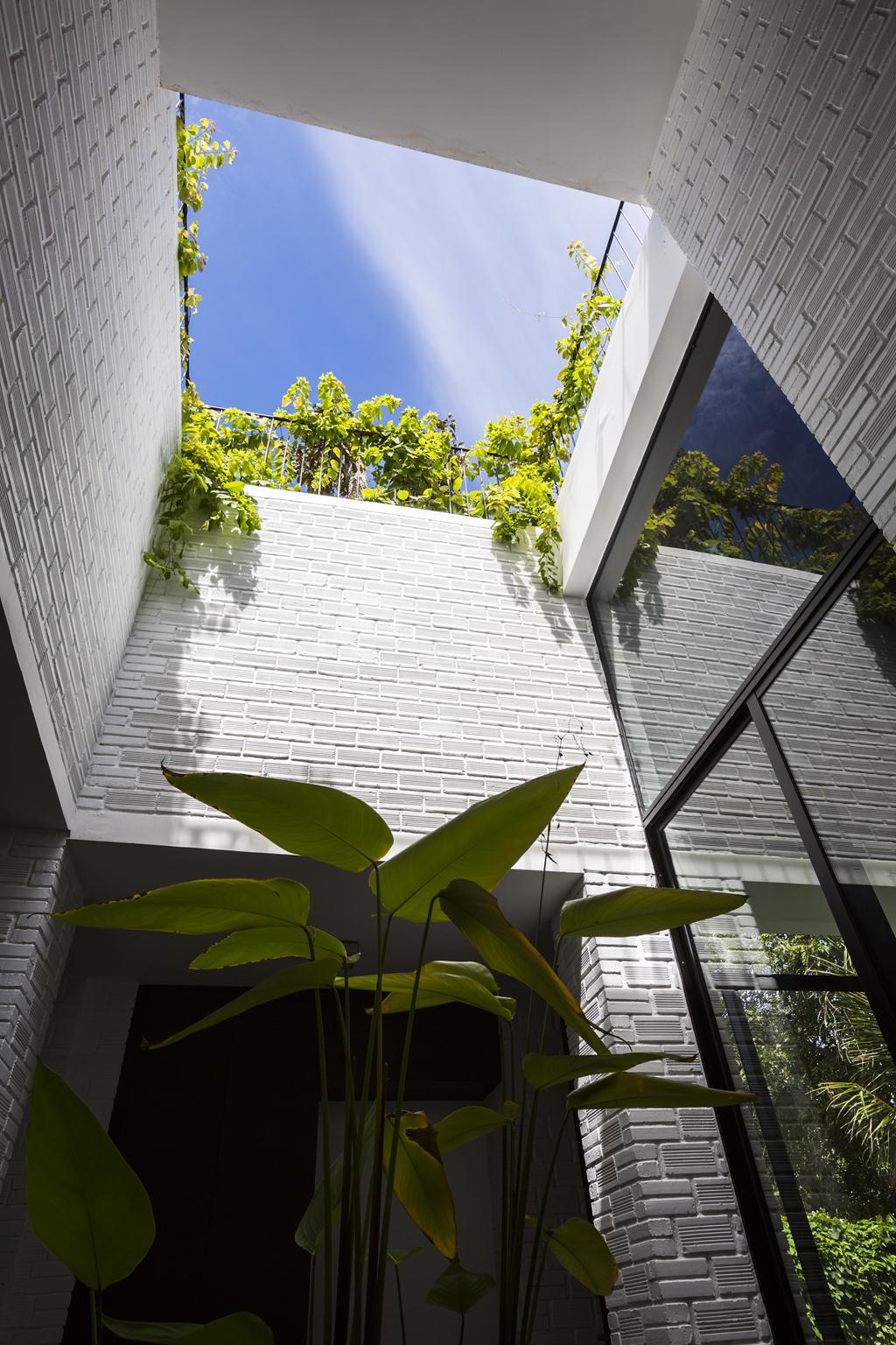 Cùng nhìn qua ngôi nhà có vườn trên mái rộng gần 500m² giữa lòng phố biển Nha Trang hoans hanging garden ngoi nha mai xanh giua long pho bien nha trang 538ef0bf3a Cùng nhìn qua ngôi nhà có vườn trên mái rộng gần 500m² giữa lòng phố biển Nha Trang
